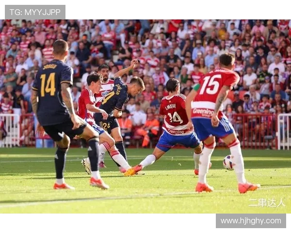 南非世法国对决南非球队精彩回顾与赛后分析